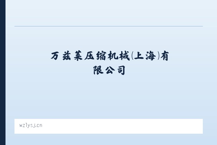 万兹莱压缩机械（上海）有限公司 - 相关阅读 列表图
